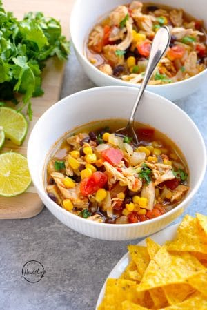 Instant Pot Chicken Tortilla Soup Recipe - A Pinch of Healthy