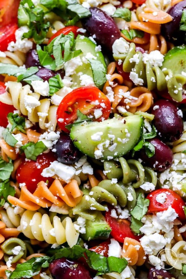 Greek Pasta Salad (fresh + flavorful) - A Pinch of Healthy