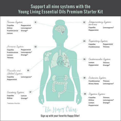 What Are Essential Oils How They Work A Pinch Of Healthy