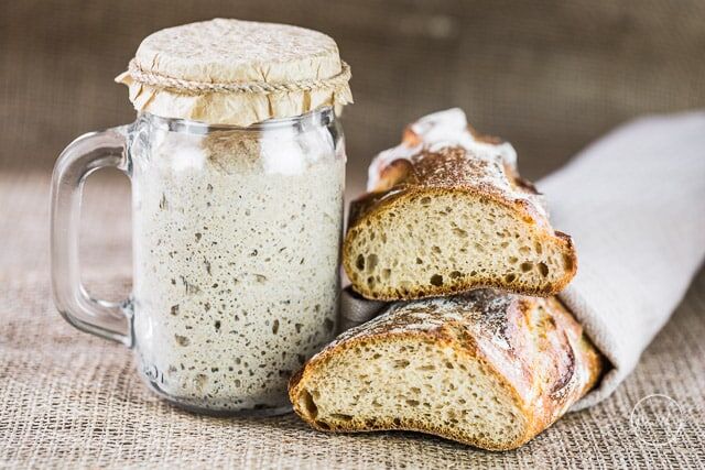 Everything You Need to Know About Sourdough Starter